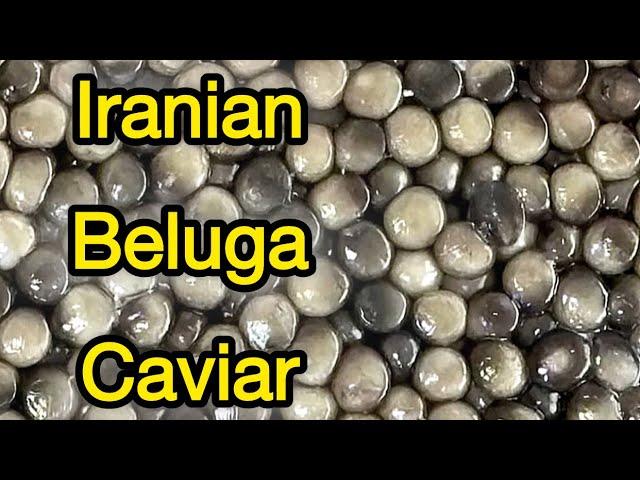 Beluga (huso huso) premium caviar #caviar #belugacaviar #fish #seafood #fishmeat #fishing #beluga