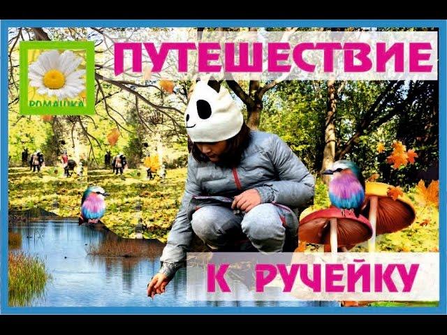 Путешествие к ручейку Даши и друзей