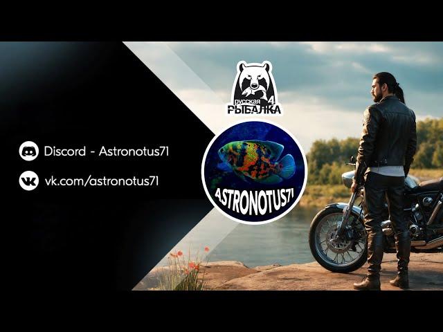 Прем в рулетке | Русская рыбалка 4