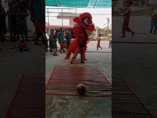 Baby lion #automobile #funny #camping #playground #capcut #cute #dancevideo #subscribe #kids