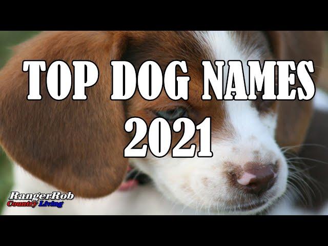 Top Most Popular Dog Names For 2021