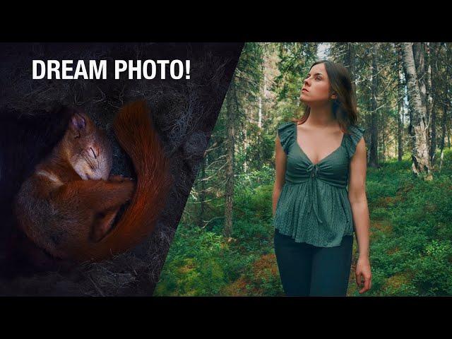 How I Photographed Sleeping Squirrels  |  My Dream Photo!