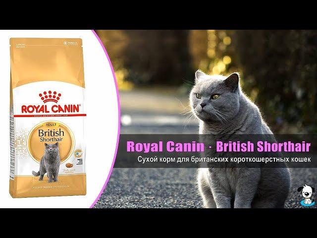 Корм для взрослых кошек породы Британская короткошерстная · Royal Canin British Shorthair