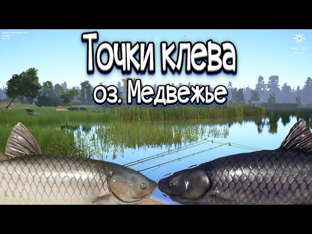 РР4 | Точки клёва | оз. Медвежье
