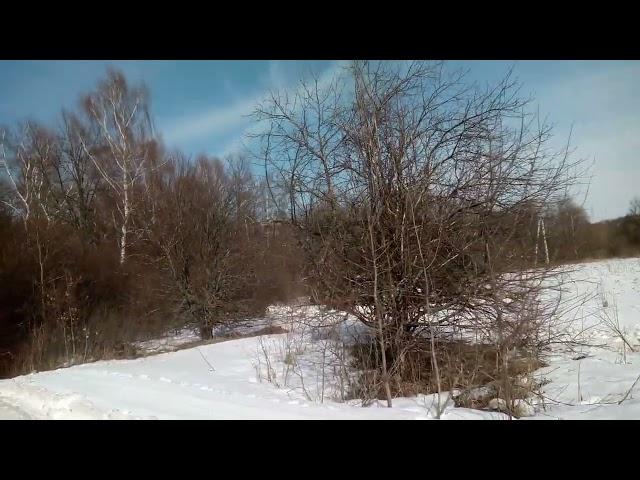 Расчистка поля от кустарных порослей