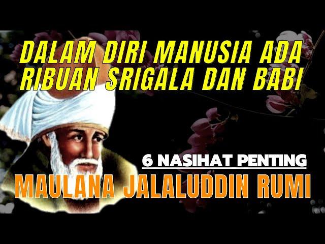 6 NASIHAT MAULANA JALALUDDIN RUMI | DALAM DIRI MANUSIA ADA RIBUAN SRIGALA DAN BABI