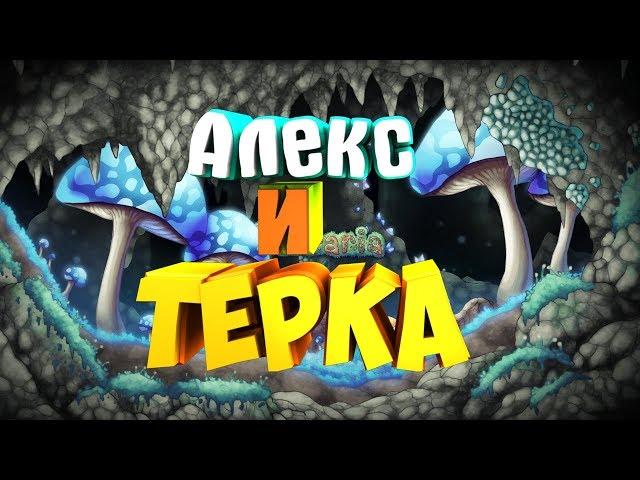 Terraria | Пароль- акула расхититель