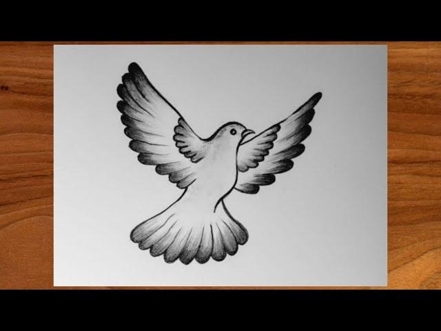 Easy Pigeon Drawing  ||Dove Drawing|| International Peace Day Special Drawing || CreativityStudio.