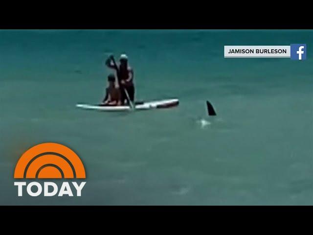 3 people injured in 2 shark attacks at neighboring Florida beaches