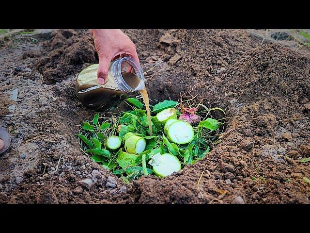 I do this every year, and my veggies grow out of control in the garden.