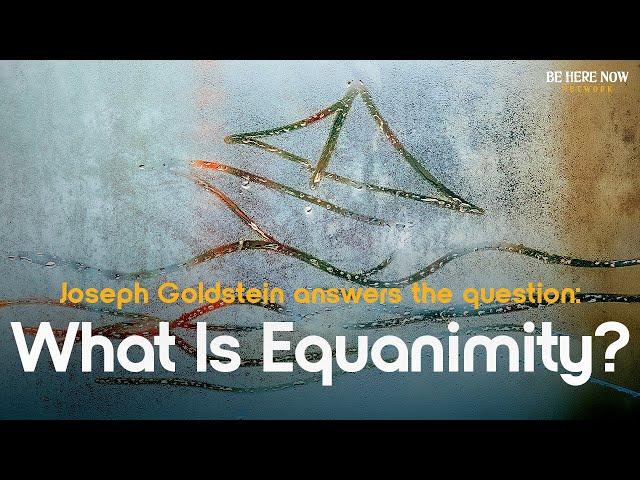 Buddhist Teacher Joseph Goldstein on The Meaning of Equanimity