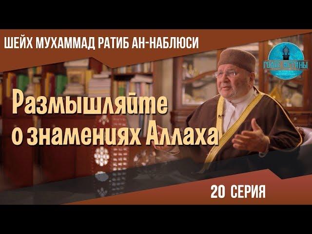 Необычное знамение | Размышляйте о знамениях Аллаха [20 Серия] | Мухаммад Рабит Ан-Наблюси