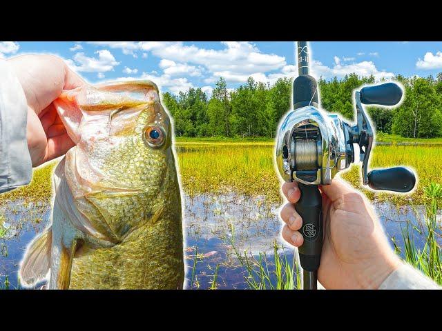 Hunting Trophy BASS At Fisherman’s HEAVEN -- Multiple Big Fish