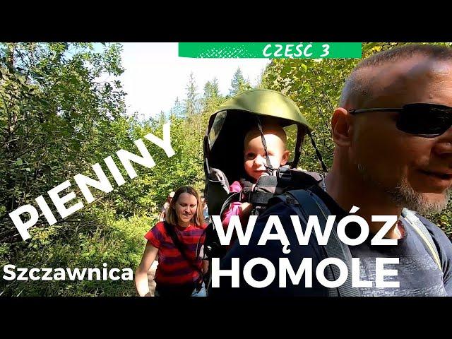 PIĘKNY WĄWÓZ HOMOLE Z DZIECKIEM W NOSIDEŁKU TURYSTYCZNYM |SZCZAWNICA, PIENINY #3  |RobDriveVlog