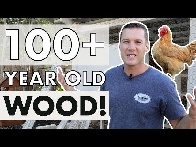 Backyard Chicken Coop Transformation