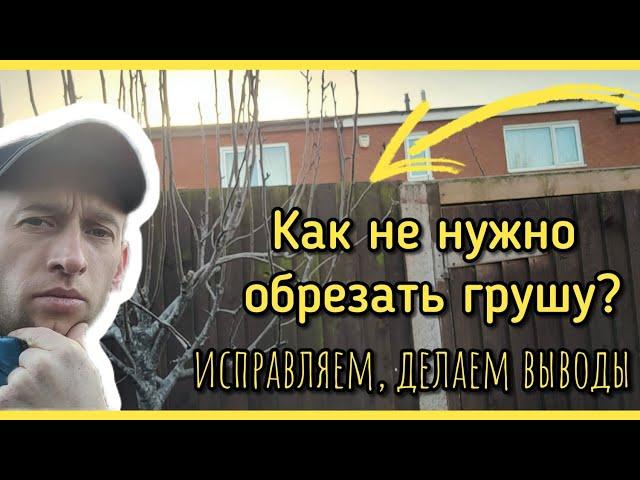 Как НЕПРАВИЛЬНО обрезать грушу? Исправляем ошибки. ПОСМОТРИ - ПОТОМ ОБРЕЗАЙ!