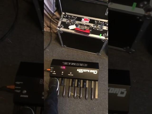 Moog Minitaur Crumar Mojo Pedals Taurus