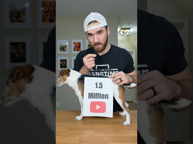 new play button