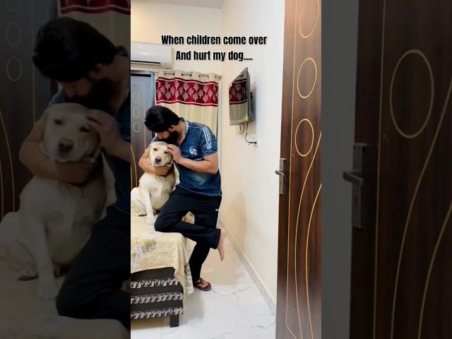 You hurt my child, i hurt your child  #yuvimicky #dog #labrador #cute