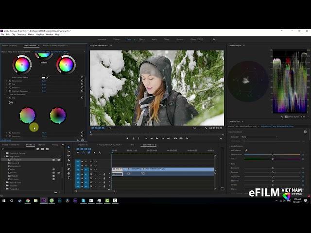 3.1 - Chỉnh màu Adobe Premiere Pro - Red Giant Magic Bullet Suite