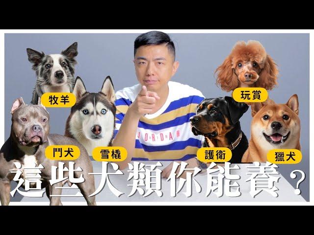 必看！你想養的狗，真的適合嗎？【熊爸有話說】5 ｜熊爸估狗