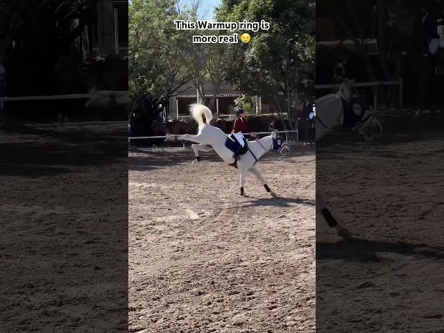 Fail ️‼️ So annoying to fall here!  #gilaryeq #equestrian #showjumping #horse #horseriding #pony