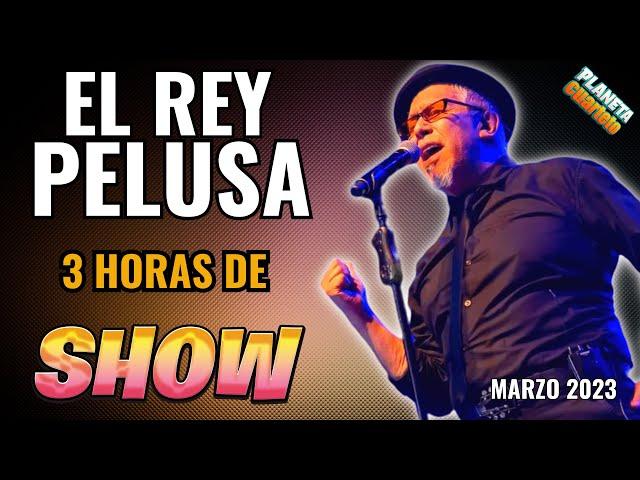 El Rey Pelusa - Presentación Nuevo Disco (Marzo 2023) En Vivo