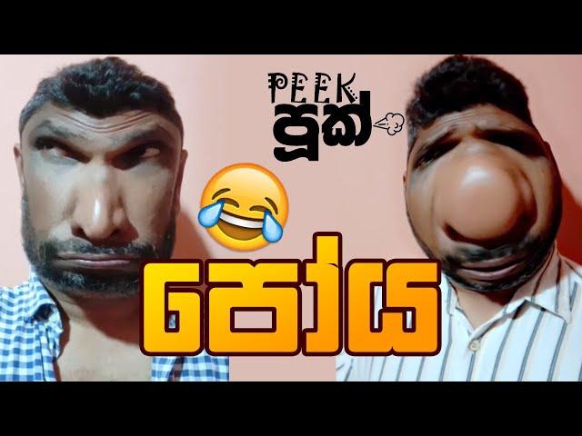 පෝය  | Peekපූක්  | Poya | #funny  #peekpook #පීක්පූක් #පෝය #peekpooknew #peekpuuk