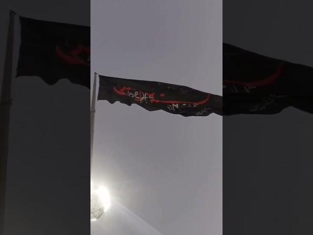 В пути на Арбаин. Видео от нашего подписчика. #арбаин #اربعین #arbaeen