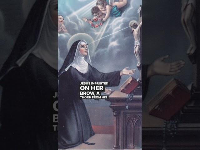 Who was Saint Rita, Saint of impossible causes?  #catholicism