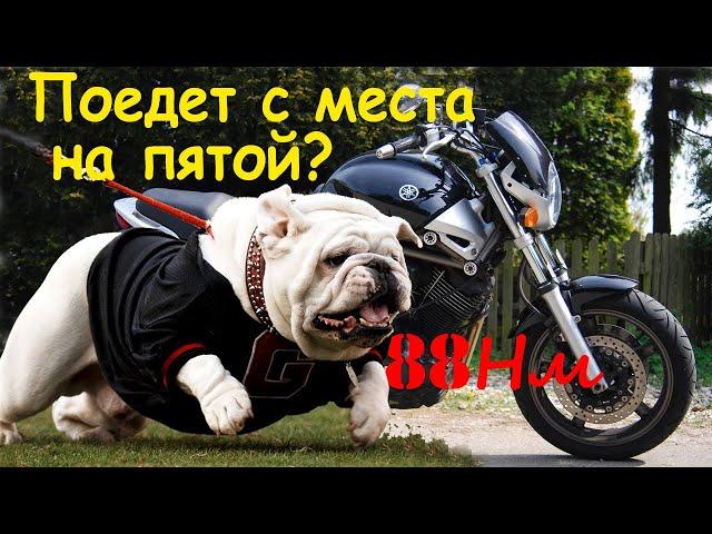 Сколько тяги у Бульдога? (антигуманные опыты над Yamaha BT1100)