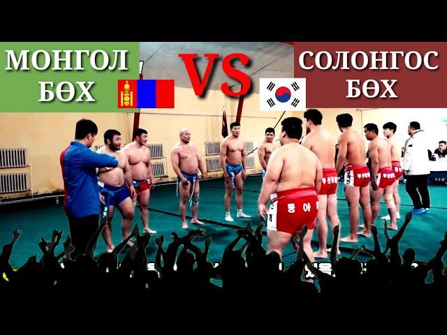 (Sub)МОНГОЛ БӨХ vs СОЛОНГОС БӨХ аль нь давсан бол? ZolbooTv MONGOLIAN YOUTUBER