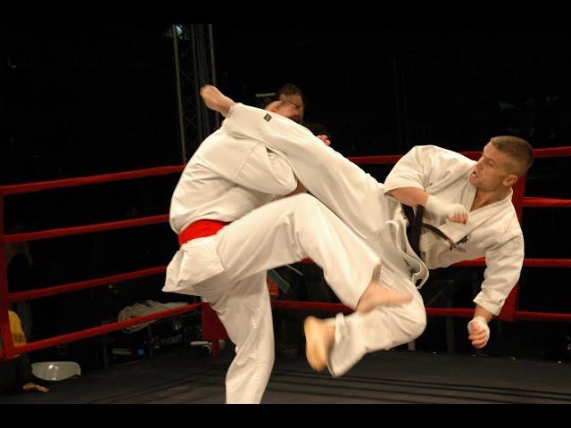 Best Kyokushin Karate 'KO' in History