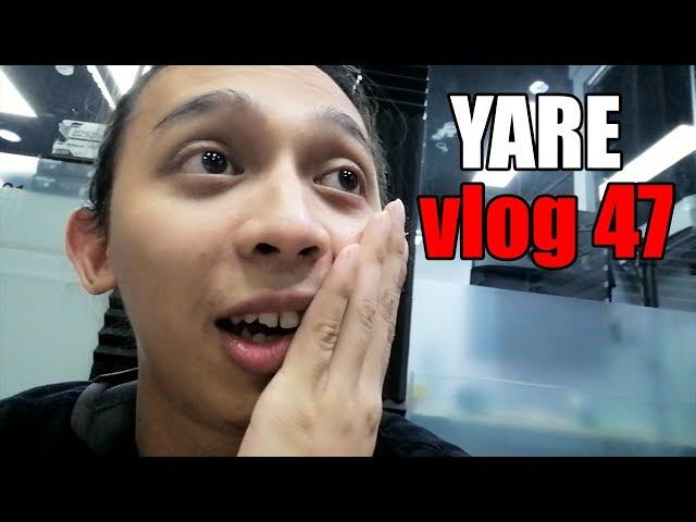 YARE | Dexty Vlog no 47