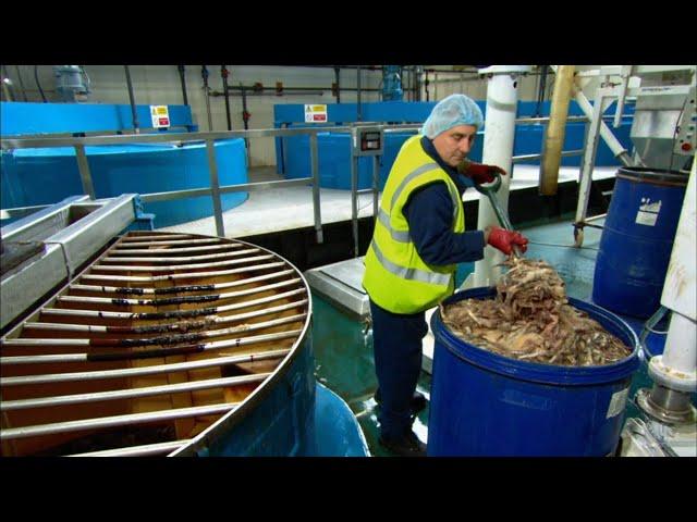 How It's Actually Made - Worcestershire Sauce