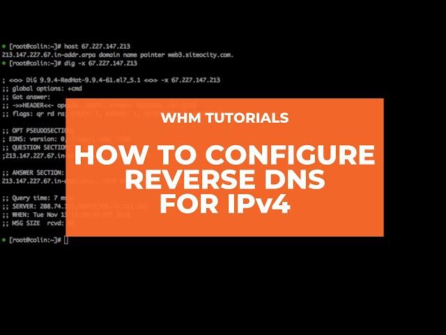 WHM Tutorials- How to Configure Reverse DNS for IPv4