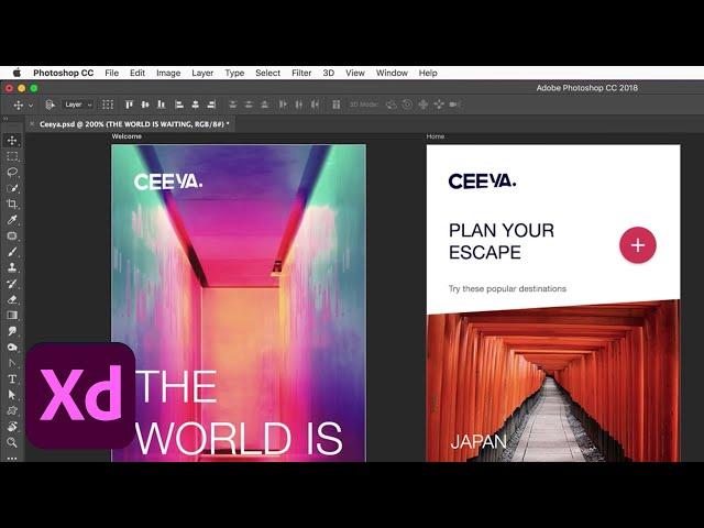 How To Open Your PSD Files In Adobe XD | Adobe Creative Cloud