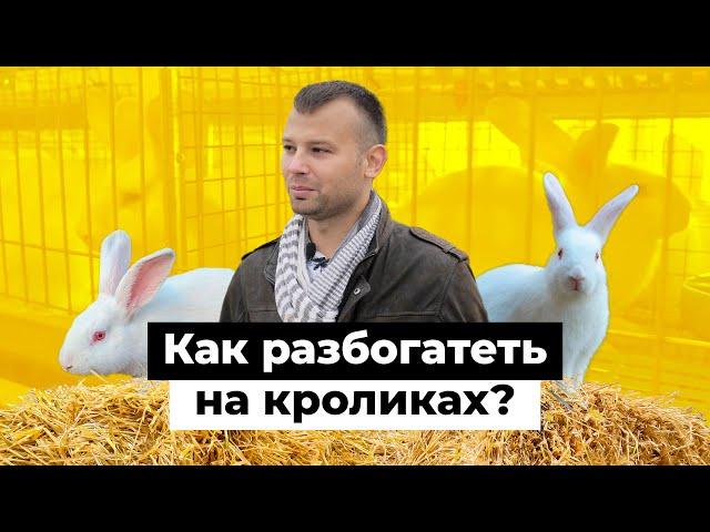 Один на миллион. Как единственный фермер-кроликовод Татарстана строит бизнес на селе