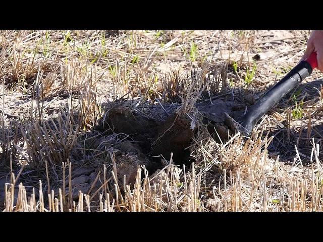 Dryland Farming