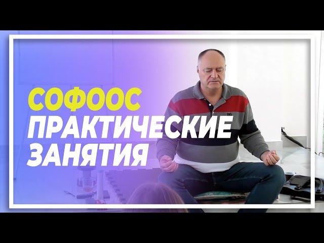 Софоос. Практические занятия.