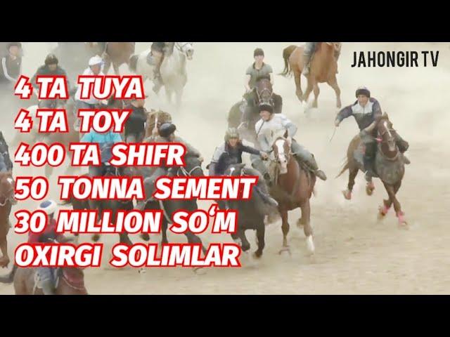 4 TUYA, 4 TOY, 400 TA SHIFR, 50 TONNA SEMENT, 30 MILLION SOʻM OXIRGI SOLIM / SAMARQAND HORSE ,LOSHAD