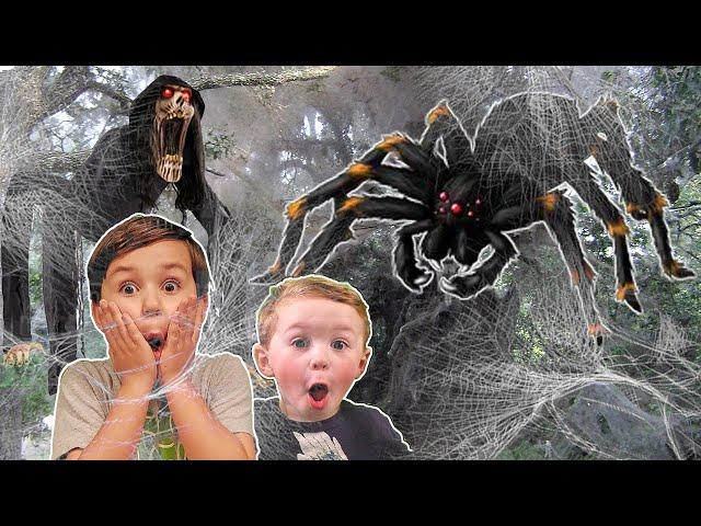 Trapped in a Giant Spider Web!