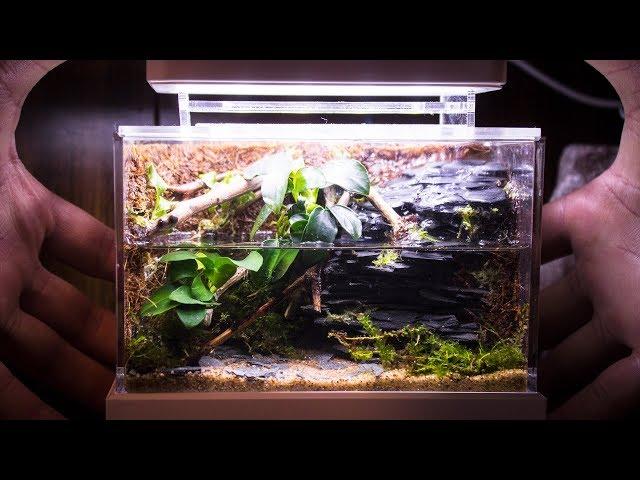 Mini Complete Waterfall Paludarium