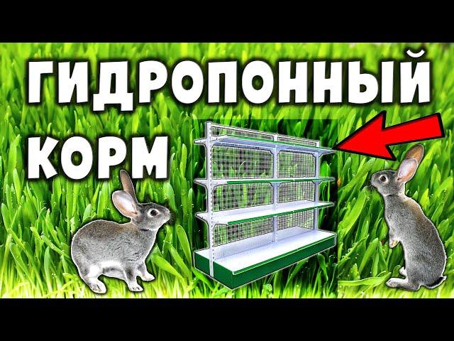 ГЗК установка своими руками / Гидропоника для кроликов