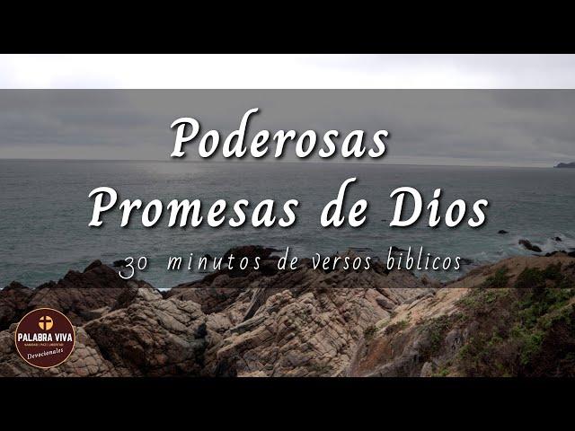 Promesas de Dios que cambiarán tu vida | 30 min de versículos bíblicos para motivarte | La Biblia