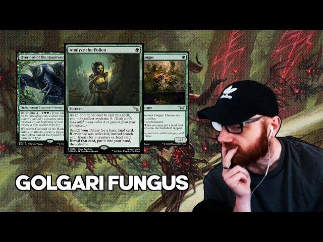 DON'T DISRESPECT SHELLY RAMP! | Golgari Fungus | Duskmourn Standard Bo3 | Mythic Rank | MTG Arena