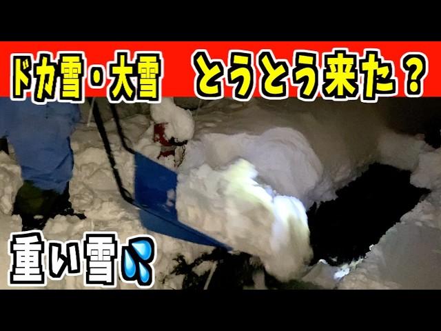 【早朝除雪】2024-12-24 きたぞ〜！多分、ドカ雪・大雪！パパさんダンプ　snow removal