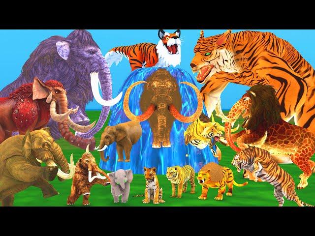 10 Mammoth Elephant Cow vs 10 Giant Tiger Wolf vs Dinosaur Fight Tiger Cub Saved by Woolly Mammoth