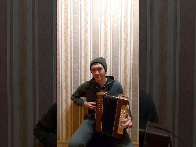 Татарская песня Эдермешкэ кайтам эле (на гармошке)