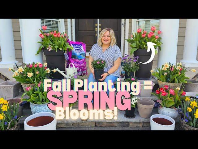 5 Popular Bulbs You Can Plant Now For Gorgeous Spring Color! Must-Know Home Depot Shopping Tips